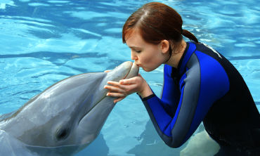 Miami Seaquarium Free Kid admission
